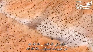 صوته من عالم تاني????