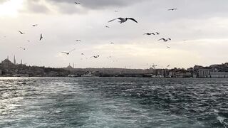 NATURE 0042