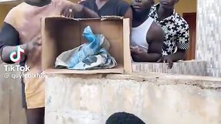 Wahala ????????????