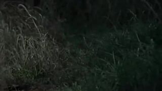 Nature life