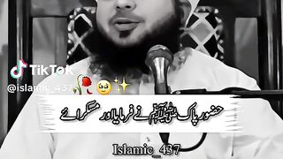 Pir sahab