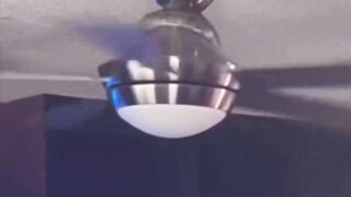 الهند ????????????