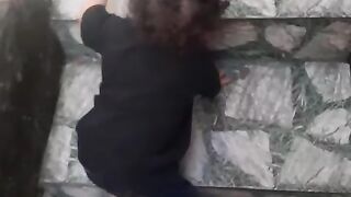 Bb danadinho aprendendo danadice