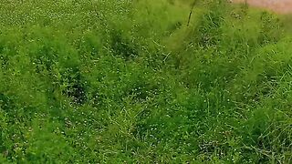 My beautiful village life
