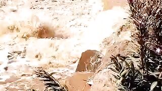 ماء أمطار