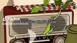 #music salsa