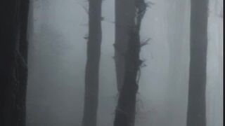 Lost in the Woods: A Cannibal's Prey  #shorts