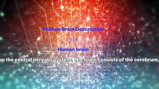 Human Brain