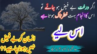 Aqwal e zareen in urdu status | hindi quotes  | Umarg tv