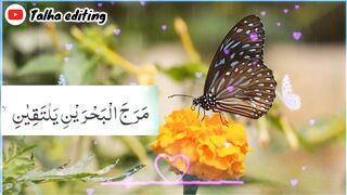 Reciting of Holy Quran