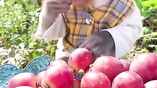 Monkey eating