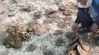 pushabhai jan