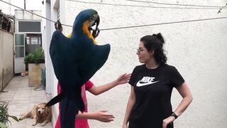 Parot Love