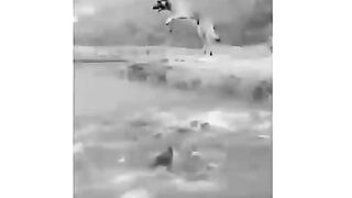 Real clip