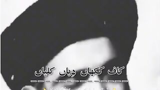 Hazrat Warash Shah shb Ka kalam | hasnain6 | febspot