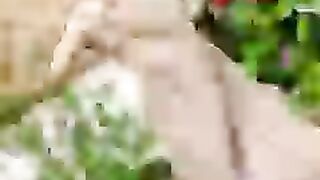 Bast songdance actar  Fallow my pagelike myvideo'sMehak