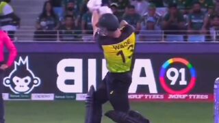 Shaeen afridi