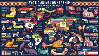 Exotic animal ownership laws