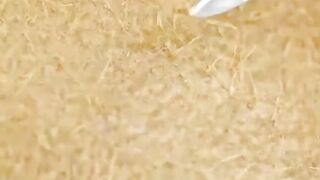 Fruits  satisfying video
