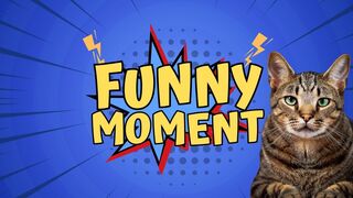 Try to don't_- lough -_ Funny Cats