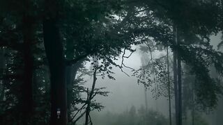 #rainyweather I …#the_mirror_of_our_souls #the_gallery_of_magic