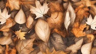 Whispers Of The Cannibal   #shorts