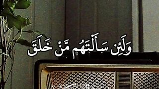 الشيخ محمد صديق المنشاوي