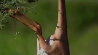 الشيخ محمد صديق المنشاوي