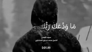 الشيخ محمد صديق المنشاوي