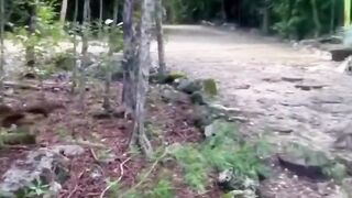 new animal video