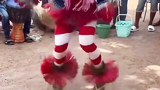 Dance bird