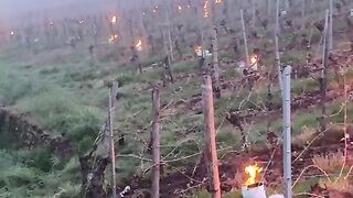 ЗАЩИТА ОТ ПРОЛЕТНИ МРАЗОВЕ В ИТАЛИЯ