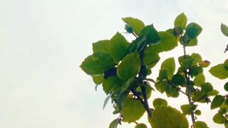 Beauty of Nature