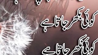 Urdu quotes