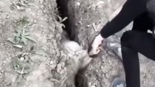 Not the sharpest tool in the nature shed