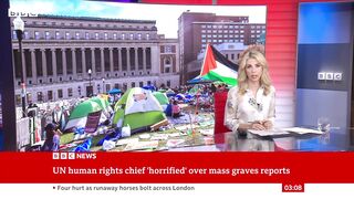 Palestine protests