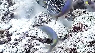 Under water