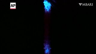 The first glow-in-the-dark animals may have been ancient corals.