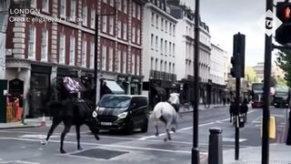 Blood-covered Household Cavalry horses run loose through London
