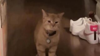 Singing the song of her people ????
