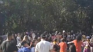 FESTA DA CEREJEIRAS NO PARQUE DO CARMO #shorts
