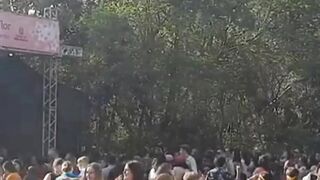 FESTA DA CEREJEIRAS NO PARQUE DO CARMO #shorts