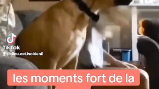 Doc love foot