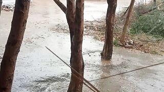 Lovely rainy season