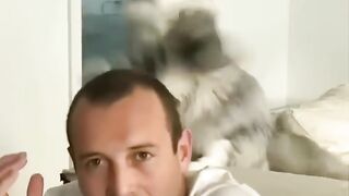 Funny cat and dogs ????
