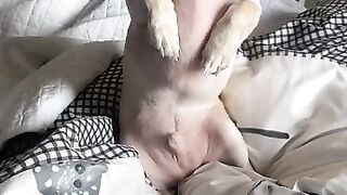 OMG!, he's breaking my hear