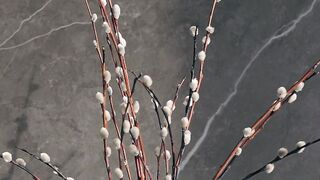 Weeping willow