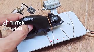 mouse trap