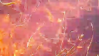 Fire lights