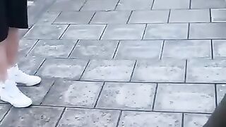 Friendly fox